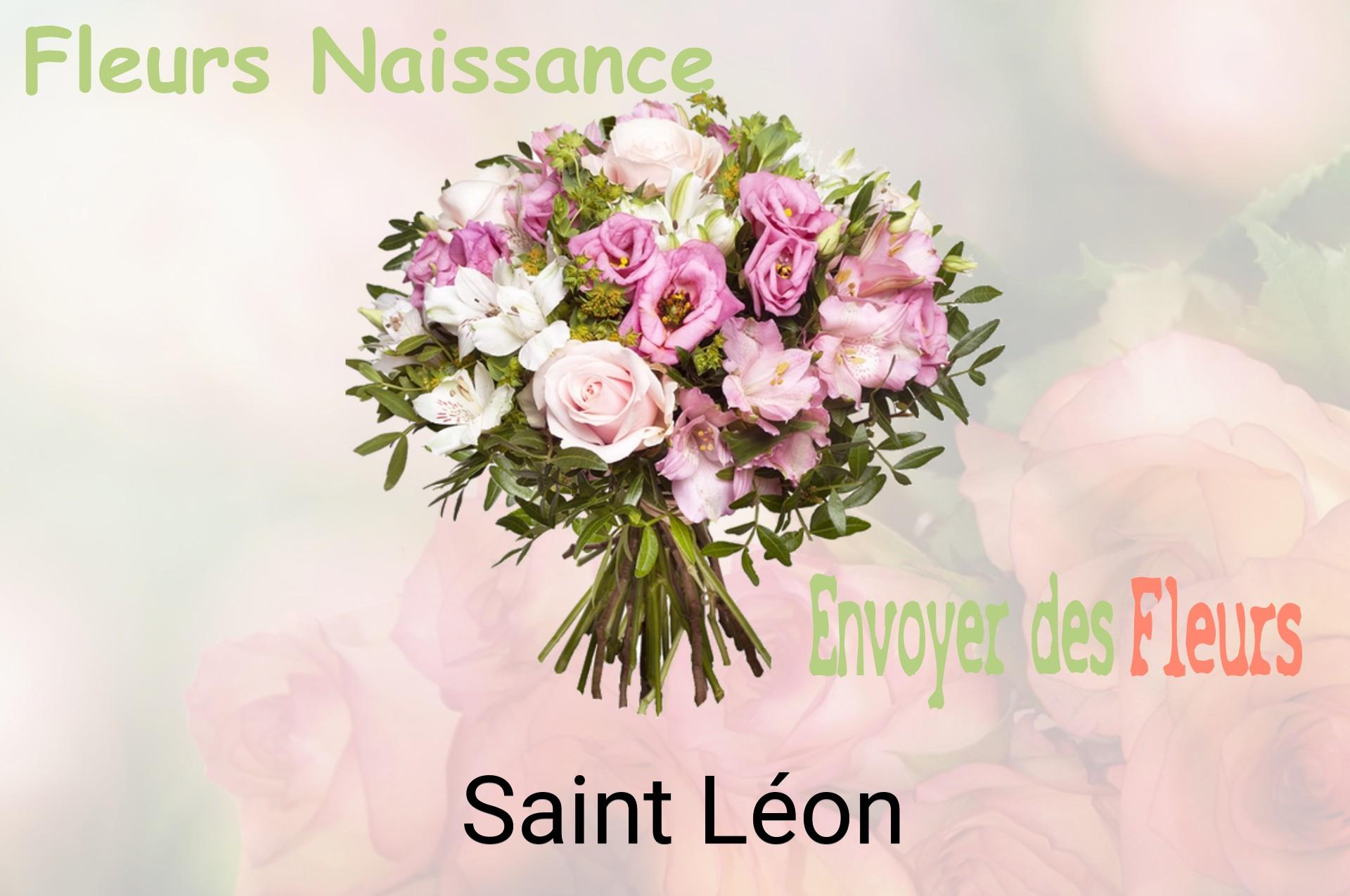 Bouquet de fleurs de naissance livré à Saint-Léon